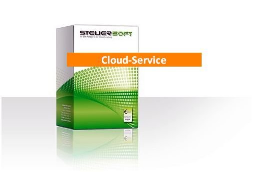 Steuersoft-Cloud I+II_ professional (Backup+Exchange)